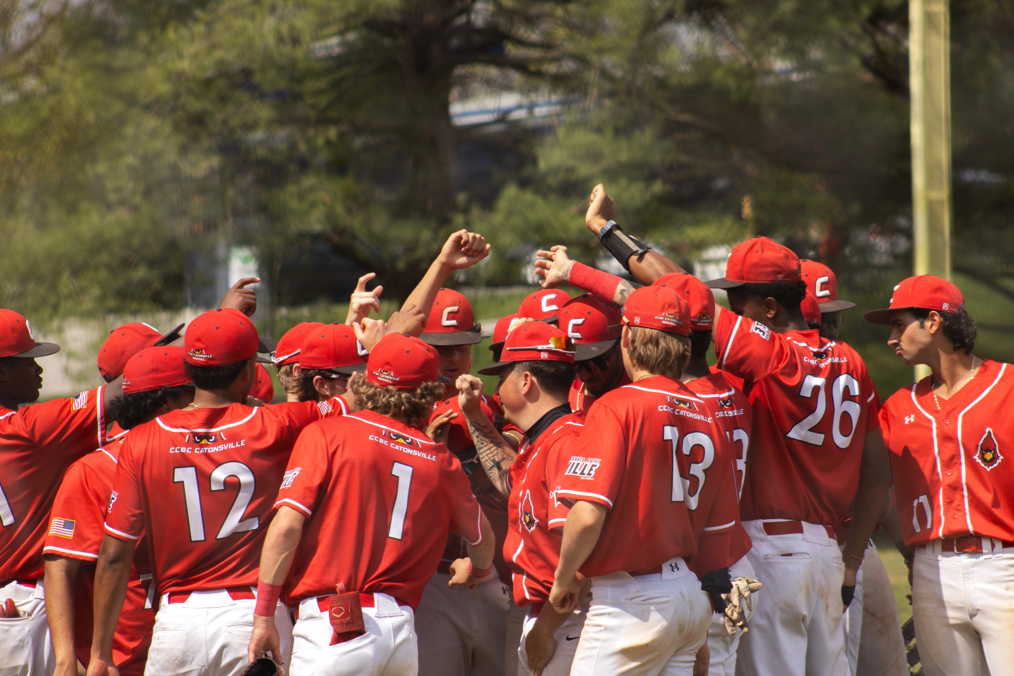 Cardinals Baseball 2026 Recap
