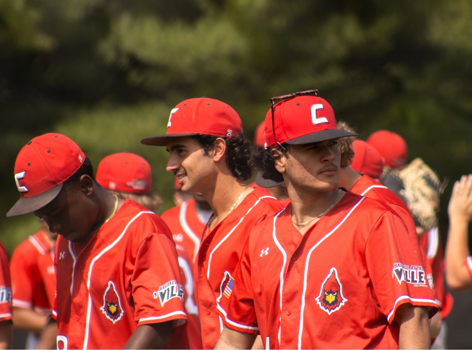 Cardinals Explode for 35 Runs in Sweep Over Dundalk