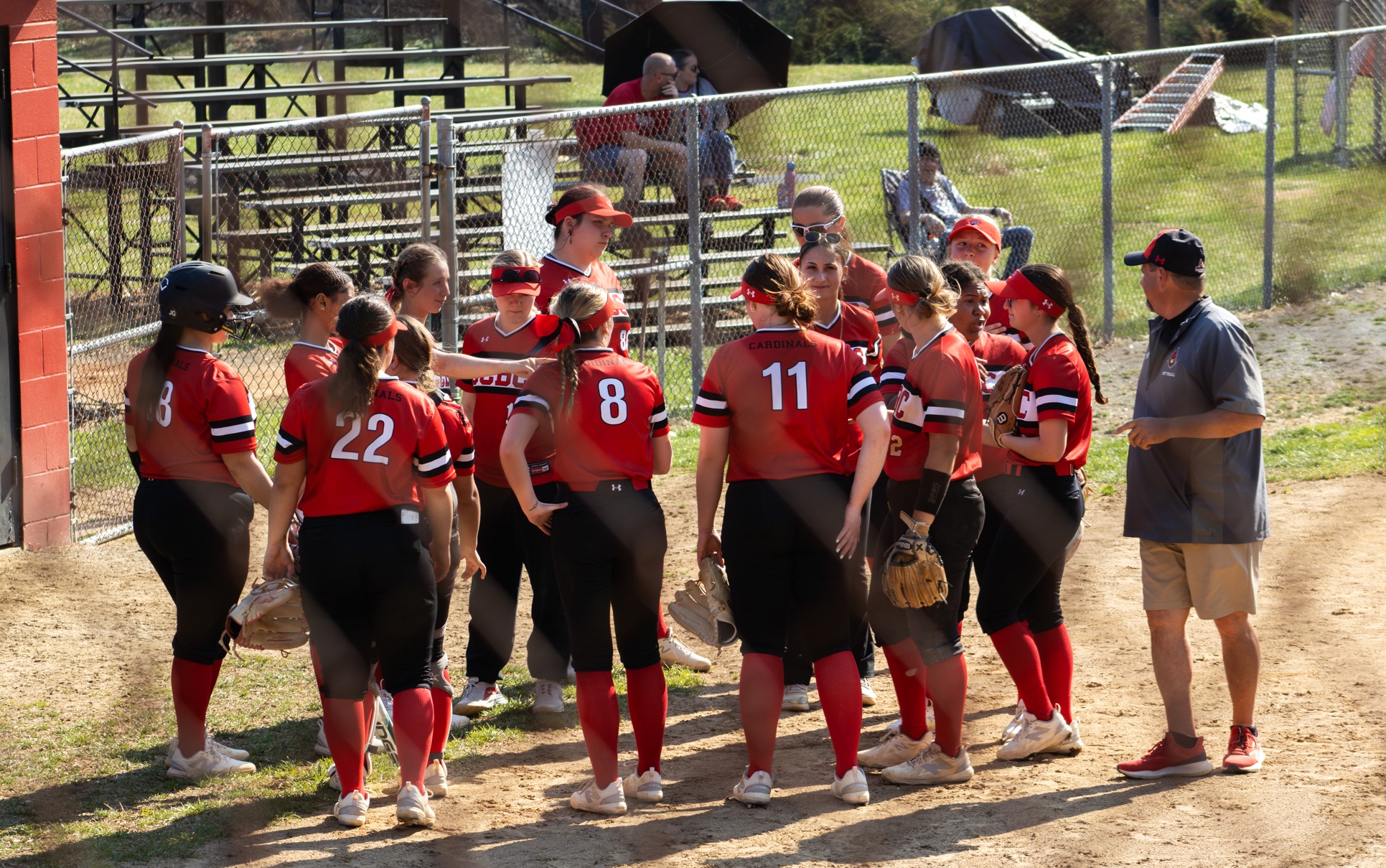 Cardinals vs Dragons Postseason Preview