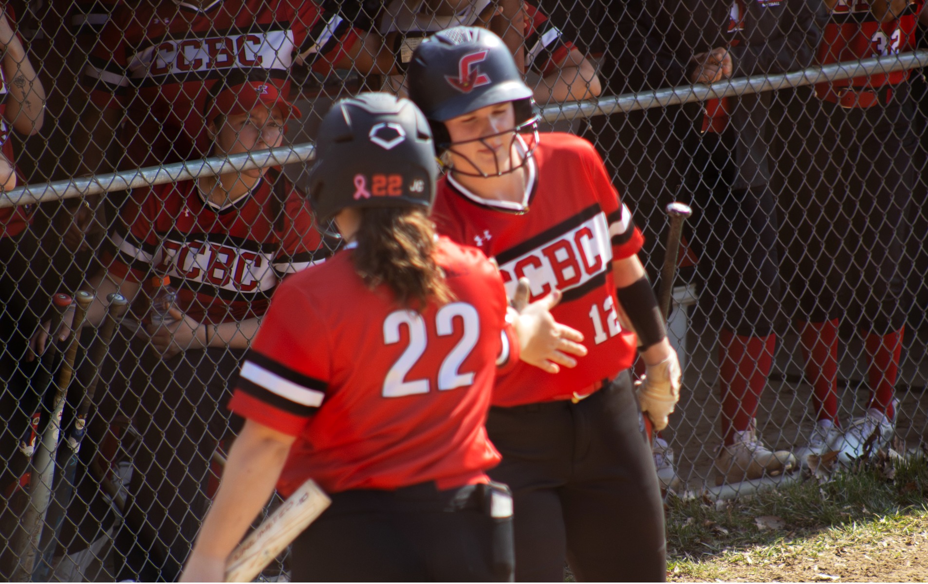 Bounce-Back Bats Secure Split for Cardinals