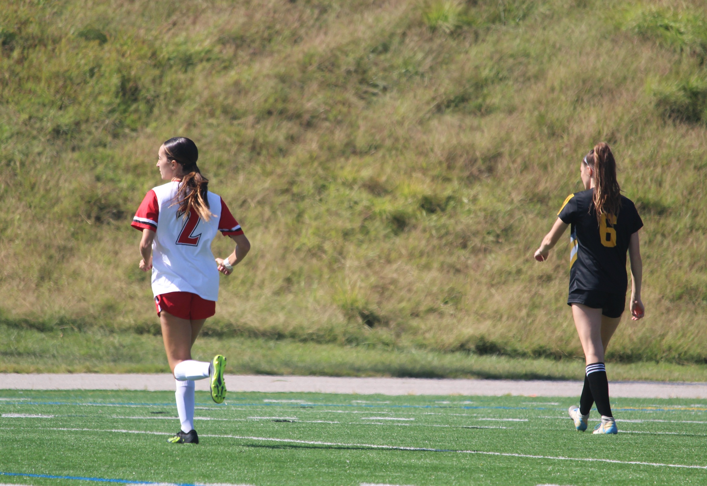 vs. CSM